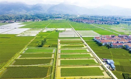 我國將穩步推進第二輪土地延包整省試點